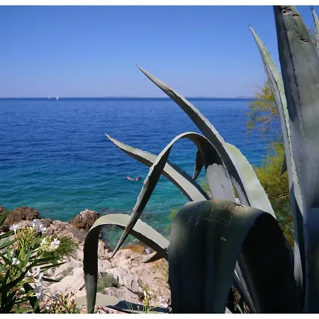 Miro * 프리모스턴